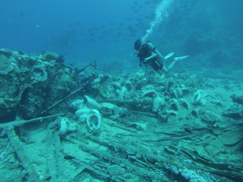 Tiran Island: Full-day Snorkeling, Diving Boat Trip - What to Expect on Your Tiran Island Trip