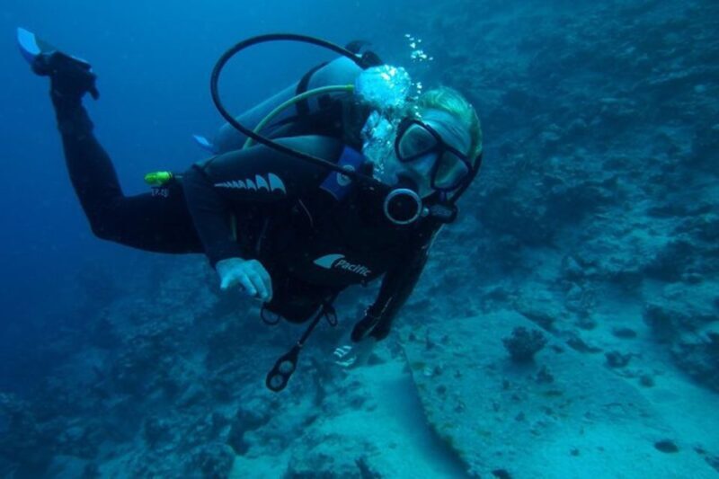 Tiran Island: Full-day Snorkeling, Diving Boat Trip - Authentic Insights from Reviews