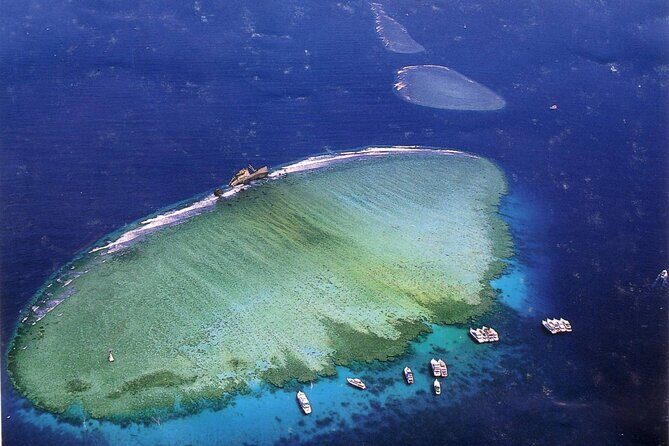 Tiran Island Full Day Snorkeling Sea Trip & intro dive 15 min - Sharm El Sheikh - Final Thoughts