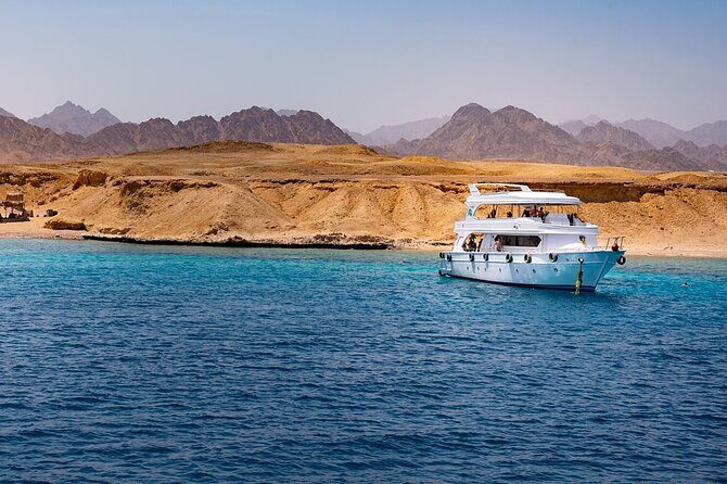 Tiran Island Full Day Snorkeling Sea trip, Lunch With Transfer - Sharm El Sheikh - What to Expect from the Tiran Island Snorkeling Tour