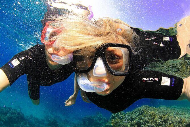 Tiran Island Snorkeling Experience by Yacht Sharm El Sheikh - An In-Depth Look at the Tour Experience