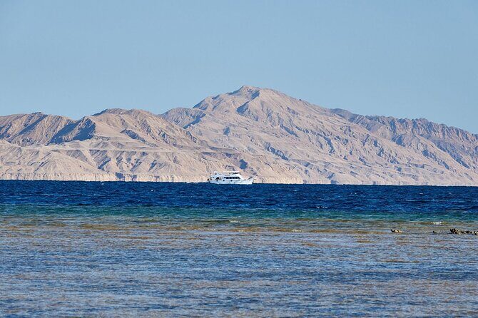 Tiran Island Snorkeling Experience by Yacht Sharm El Sheikh - Who Is This Tour Best Suited For?