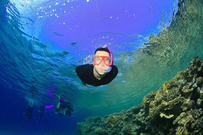Tiran Island Snorkeling Experience by Yacht Sharm El Sheikh - FAQ