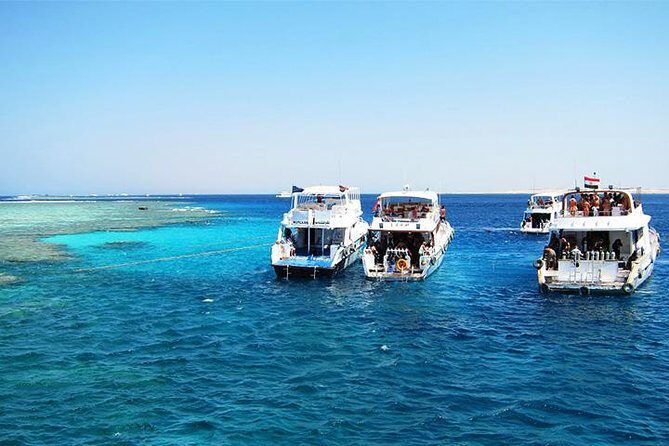 Tiran Island Snorkeling Trip by boat from Sharm El Sheikh - Things to Keep in Mind