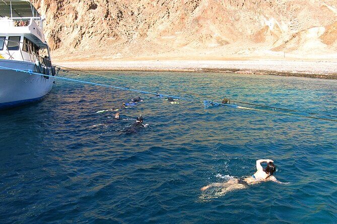 Tiran Island Snorkeling Trip by boat from Sharm El Sheikh - The Sum Up: Is This Tour Right for You?