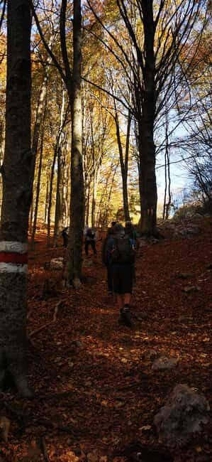Tirana: Dajti National Park and Tujani Peak Hiking Tour - Who Will Love This Experience?