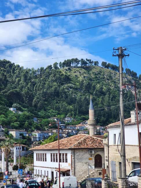 Tirana/Durres: Berat Private Tour with Onufri Museum Entry - Who Will Love This Tour?