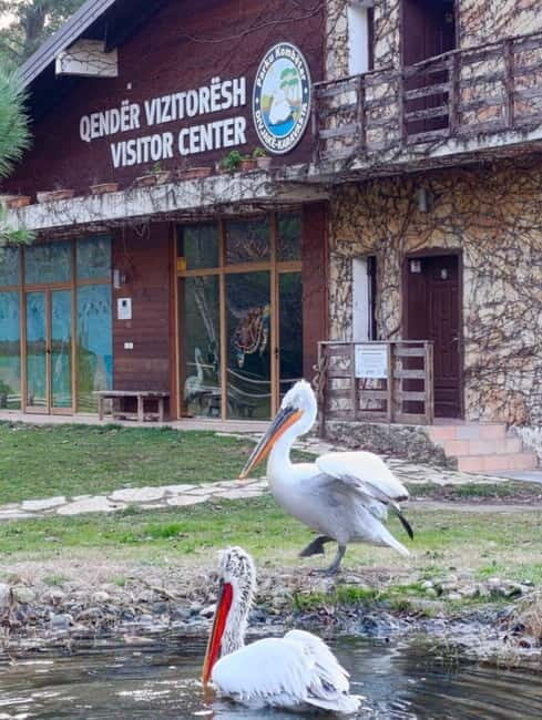 Tirana / Durrës: Berat UNESCO City & Karavasta National Park - Who Will Love This Tour?