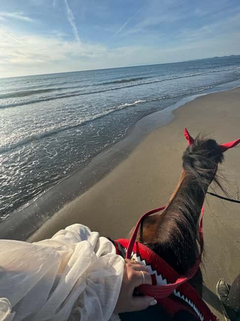 Tirana/Durrës: Fllakë Beach Escape and Optional Horse Ride - Practical Details and Tips