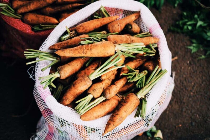 Tirana/Durrës/Golem: Farm Tour with Cheese & Raki Tasting - Key Points