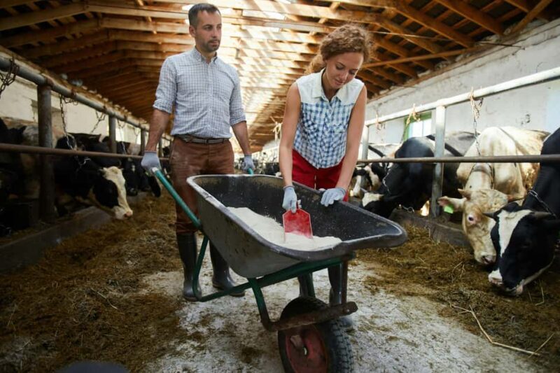 Tirana/Durrës/Golem: Farm Tour with Cheese & Raki Tasting - Final Thoughts