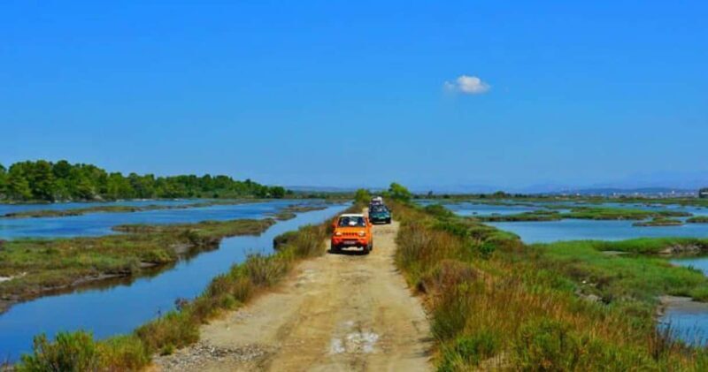 Tirana/Durres/Golem: Karavasta Lagoon Day Tour with Boat - Practical Tips for a Smooth Day