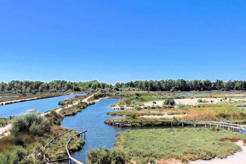 Tirana/Durres/Golem: Karavasta Lagoon Day Tour with Boat - Authentic Experiences and Real Feedback
