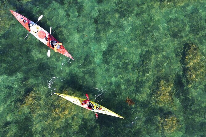 Tiritiri Matangi Sea Kayak Tour - The Itinerary Breakdown: What You Can Expect