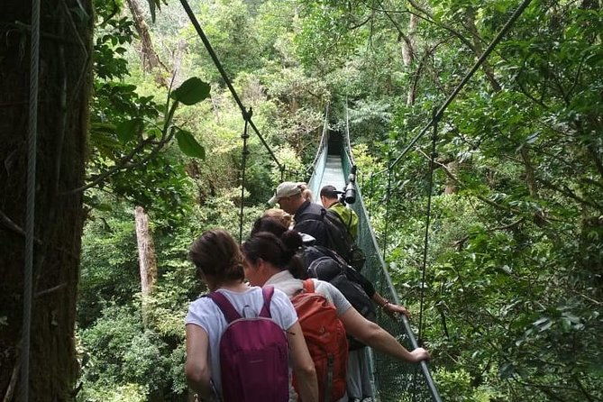 tirolinas-hanging-bridges-day-trip-in-monteverde
