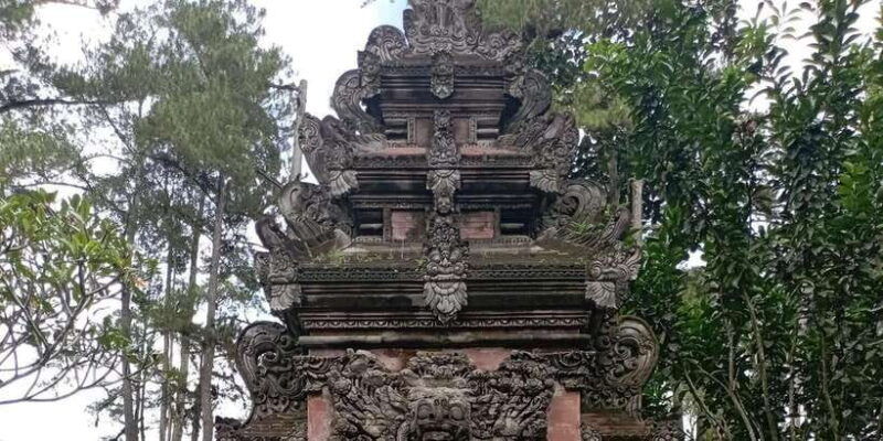 tirta-empul-highlights-tour-with-cleansing-rice-terrace