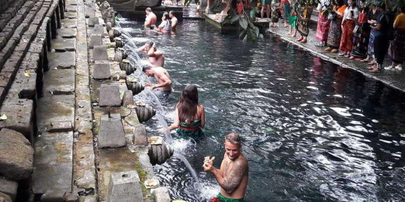 tirta-empul-highlights-tour-with-cleansing-rice-terrace