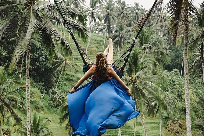 Tirta Empul temple, Jungle Swing and Waterfalls - Private Tour - A Full-Day Bali Adventure: What to Expect