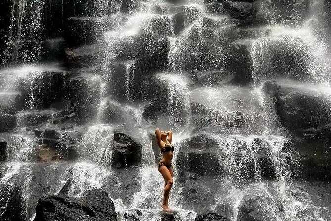 Tirta Empul temple, Jungle Swing and Waterfalls - Private Tour - The Sum Up