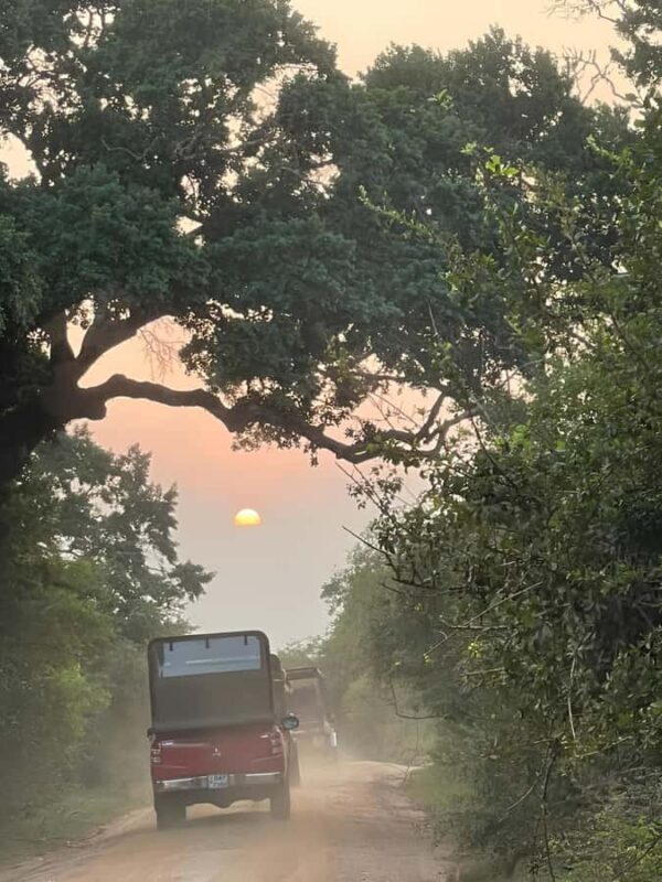 Tissa: Yala National Park Private Jeep Safari with Meals - Key Points