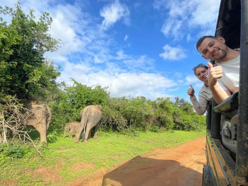 Tissa: Yala National Park Private Jeep Safari with Meals - Why Choose This Safari?