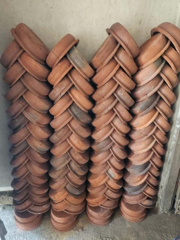 Tissamaharama: Birdwatching Tour with Village Experience - Real Insights from Reviewers