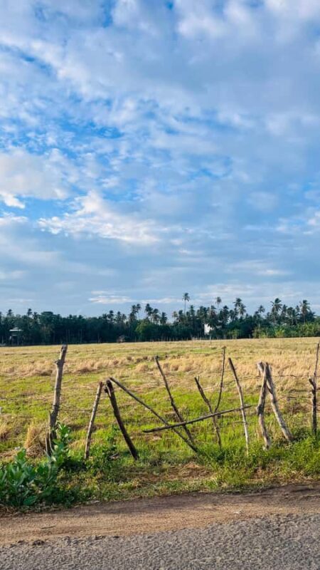 Tissamaharama: private Tuk Tuk Tour & Kataragama Temple - Final Thoughts