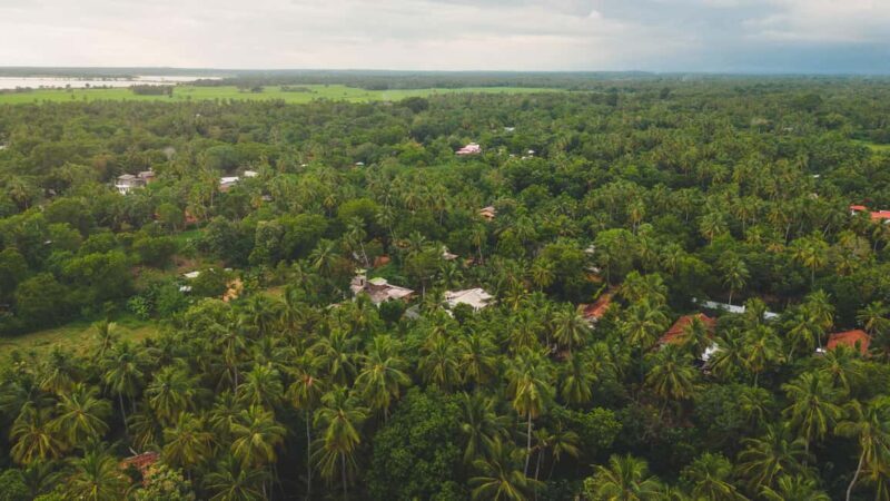 Tissamaharama: Sri Lankan Village Tour with Lunch - Exploring the Detailed Experience