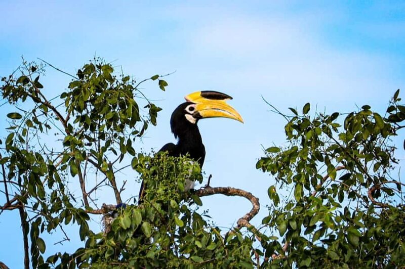 Tissamaharama: Sunrise Birdwatching Tour with Breakfast - Small Group & Flexibility