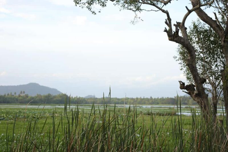 Tissamaharama: Sunset Boat Tour and Lake BBQ - A Detailed Look at the Experience