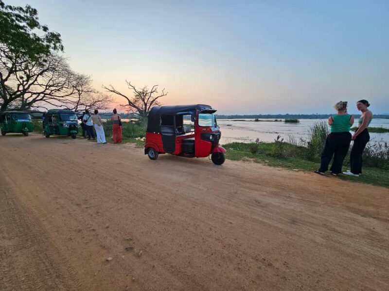 Tissamaharama: Temple Tour by Tuk-Tuk with Guide - Exploring Tissamaharamas Temples by Tuk-Tuk with a Guide: An Authentic Cultural Journey