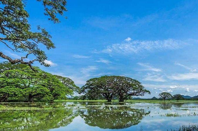 Tissamaharama To Ella - Detailed Review