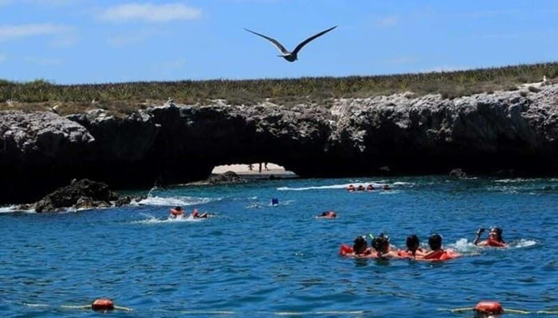 Title: Puerto Vallarta: Marietas Island Shamballa II - Key Points