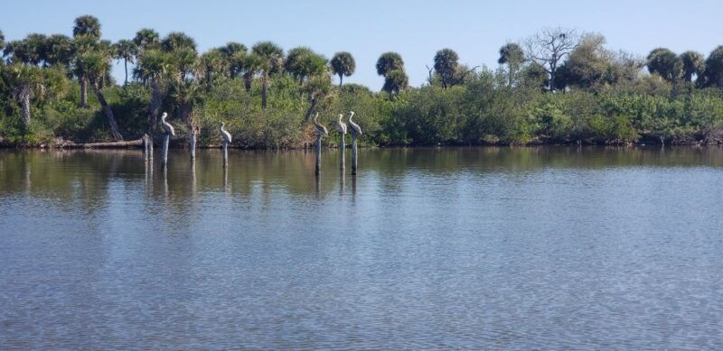 titusville-fox-lake-guided-hike-with-outdoor-yoga-session