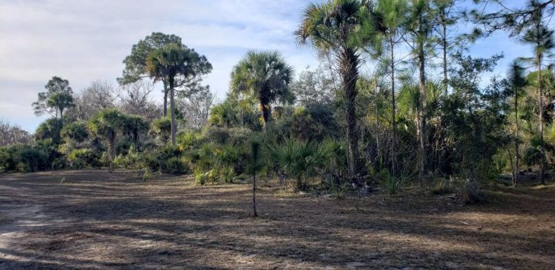 titusville-fox-lake-guided-hike-with-outdoor-yoga-session