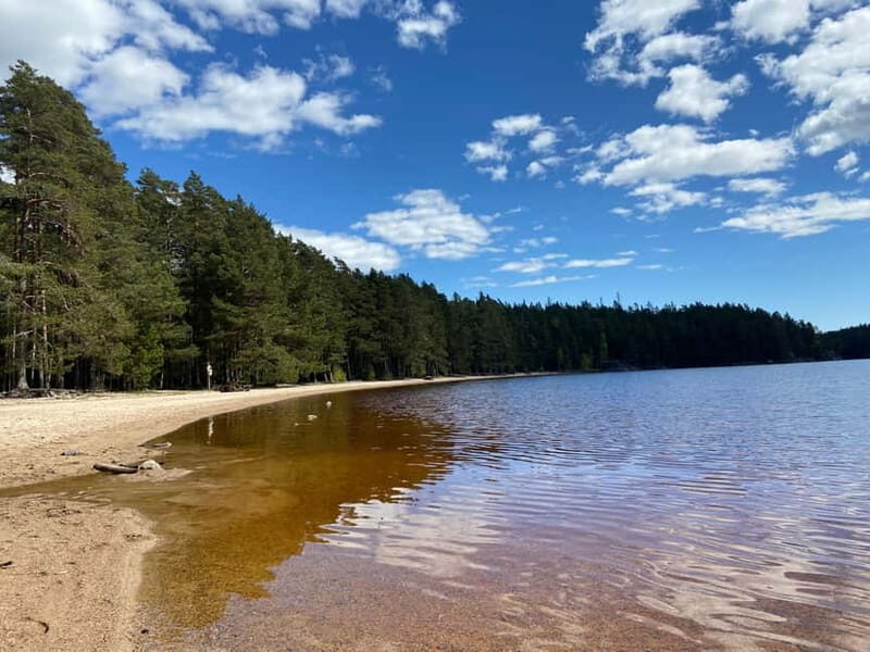 Tiveden National park: Summer guided walk around Stenkälla - Introduction: Exploring Tiveden’s Hidden Gems
