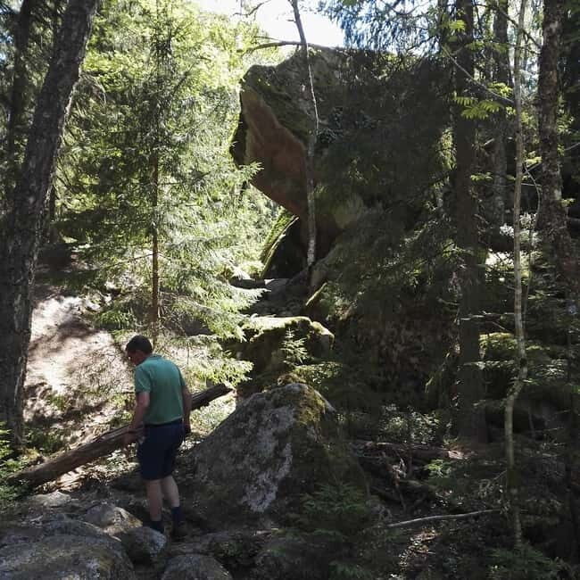 Tiveden National park: Summer guided walk around Stenkälla - Why This Tour is a Great Choice