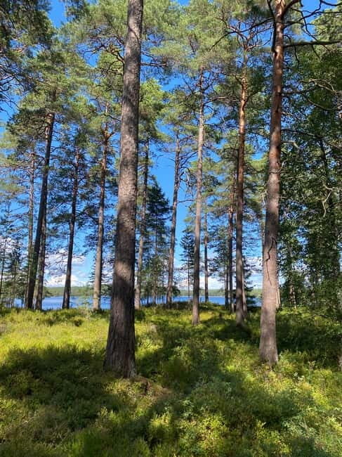 Tiveden: The Legend of Junker Jägare Guided Hike - Supporting Local and Sustainable Tourism