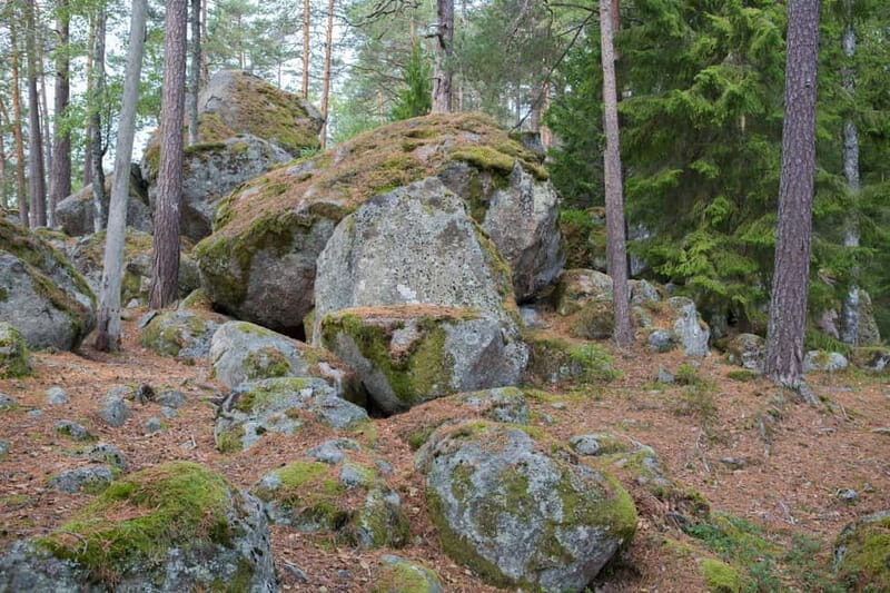 Tiveden: The Legend of Junker Jägare Guided Hike - Final Thoughts: Who Will Love This Tour?