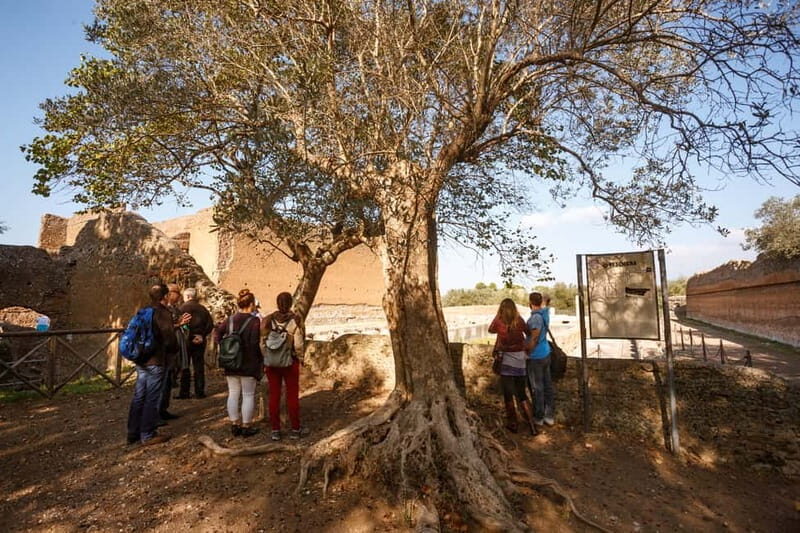 Tivoli: Entrance Ticket to Villa Adriana & App Audioguide - Practical Details and Tips