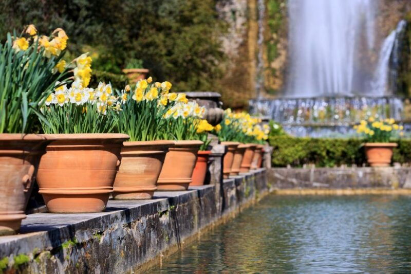 tivoli-villa-deste-entry-ticket-and-digital-audioguide
