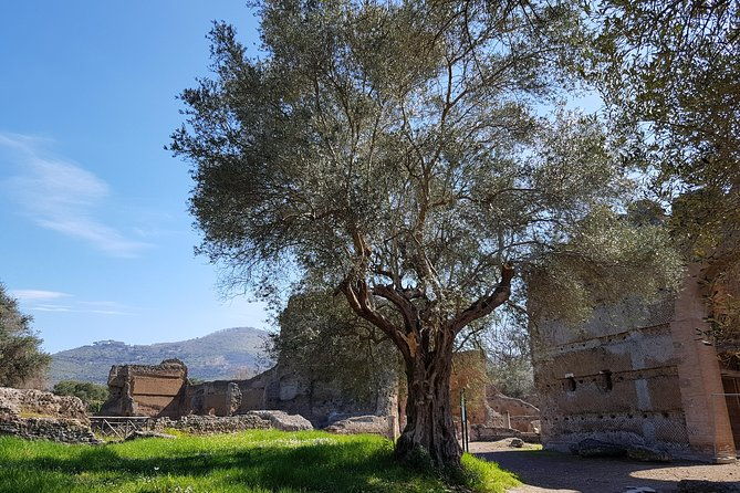 tivoli-villas-full-day-trip-from-rome-with-lunch