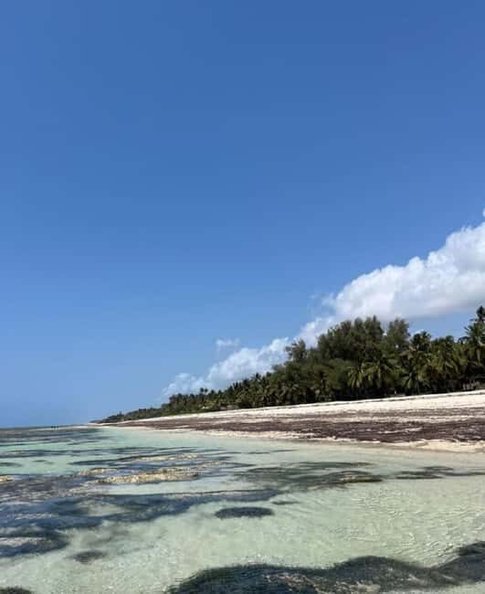 Tiwi Beach: Guided Tour to the African Pool - A Closer Look at the Experience