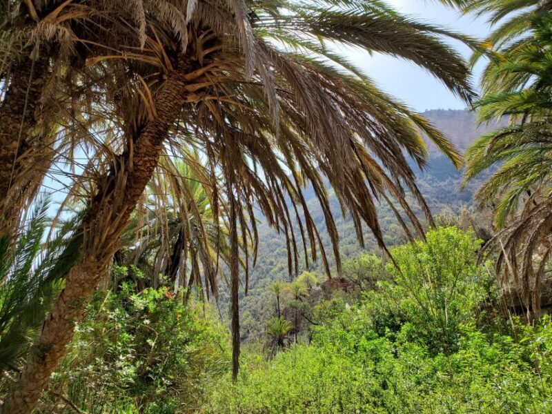 Tizgui Valley Half Day Guided Tour Including Hotel Pickup - Authentic Feedback from Past Travelers