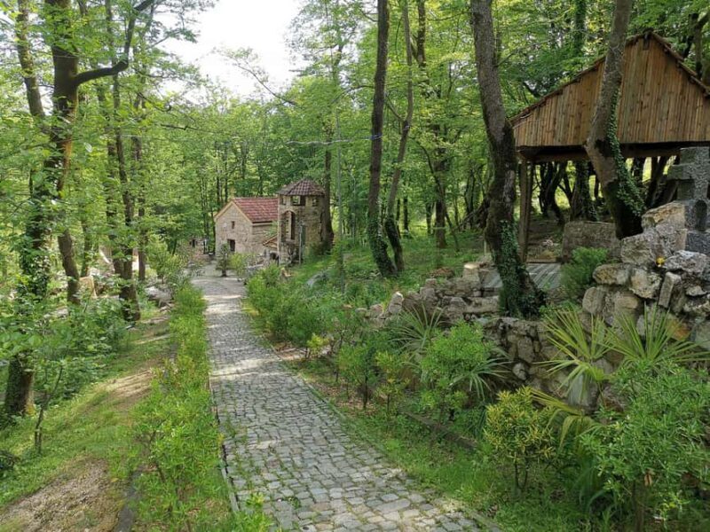 Tkibuli Day Trip with Wine & Tea Tasting from Kutaisi - What to Expect on Your Tkibuli Day Trip
