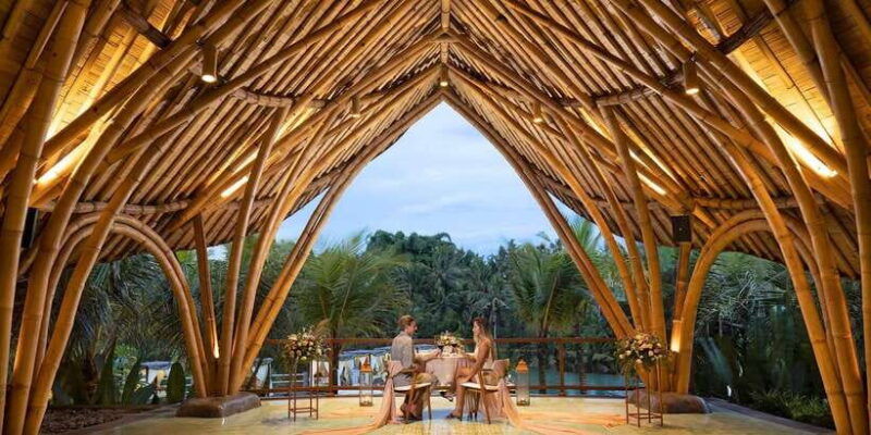 tlaga-singha-ubud-infinity-poolmonkey-forest-water-fall