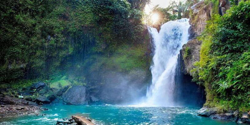 tlaga-singha-ubud-infinity-poolmonkey-forest-water-fall