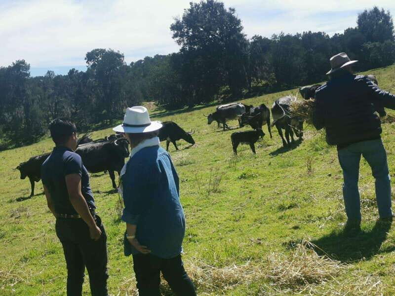 Tlaxcala Haciendas Tour - Detailed Breakdown of the Itinerary