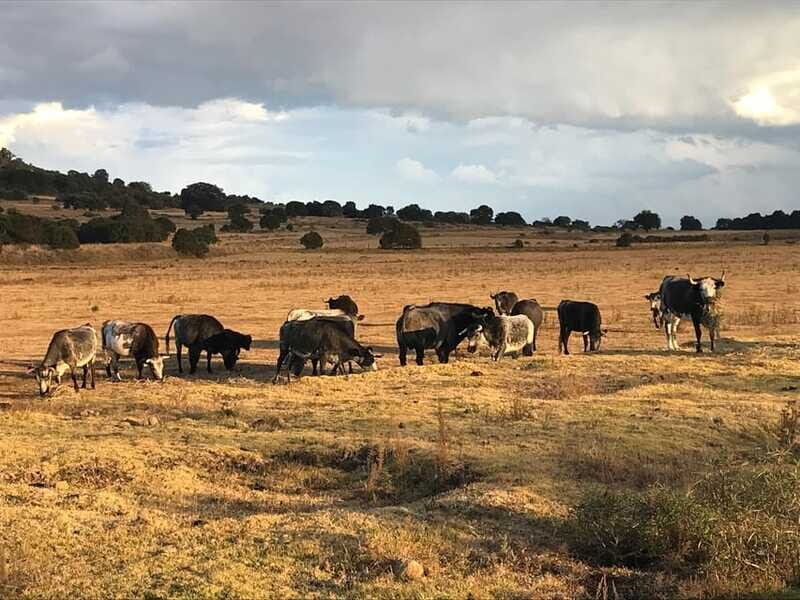 Tlaxcala Haciendas Tour - Final Thoughts