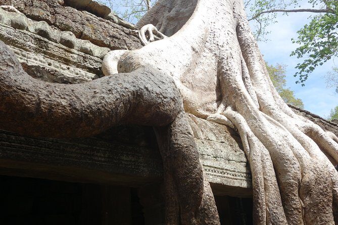 To explore Angkor Wat for 3 days - Final Thoughts